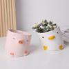 Ghiveci de flori cu animale drăguțe din desene animate, balcon pentru birou, ghiveci de plantare suculente, ghiveci de flori, ghiveci din ceramică strânse de rață și porc.
