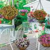 8/10/12/14/16 Inch Round Coconut Palm Pot Liner Hanging Basket Replacement Liner Gardening Planting Cultivating Accessories