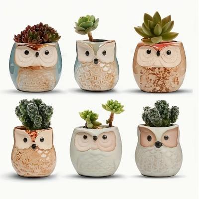 1Pc Mini Owl Ceramic Succulent Planters with Drainage Hole, Desktop Decor, Creative Gift