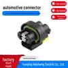 2-Core 2-Hole Automotive Connector Plug 15470987 - 6.3 Series Wiring Harness