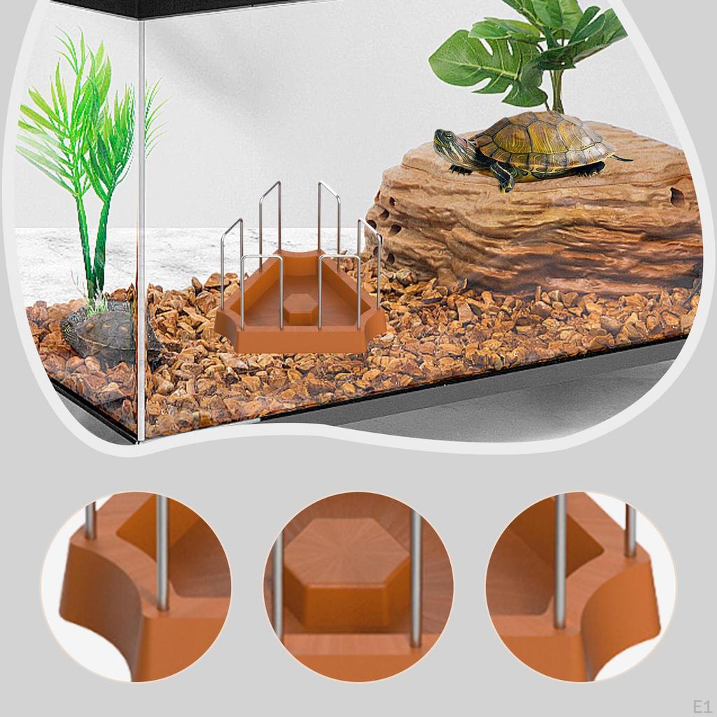 Futternapf, Trinkschale, Wassernapf für Schildkrötenbecken, Futternapf für semi-aquatische Schildkröten