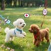 Decorative Dog Identity Decals Cartoon Pet Identification Stickers Pet Label  Outdoor Walking