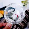 Dried Flower Glass Drinking Cup Decorative Coffee Mug with Double Insulation Clear Espresso Drinkware for Beverage Lover