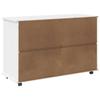 Rollcontainer mit Rädern Weiß 100 x 39 x 65,5 cm Massivholz Kiefer