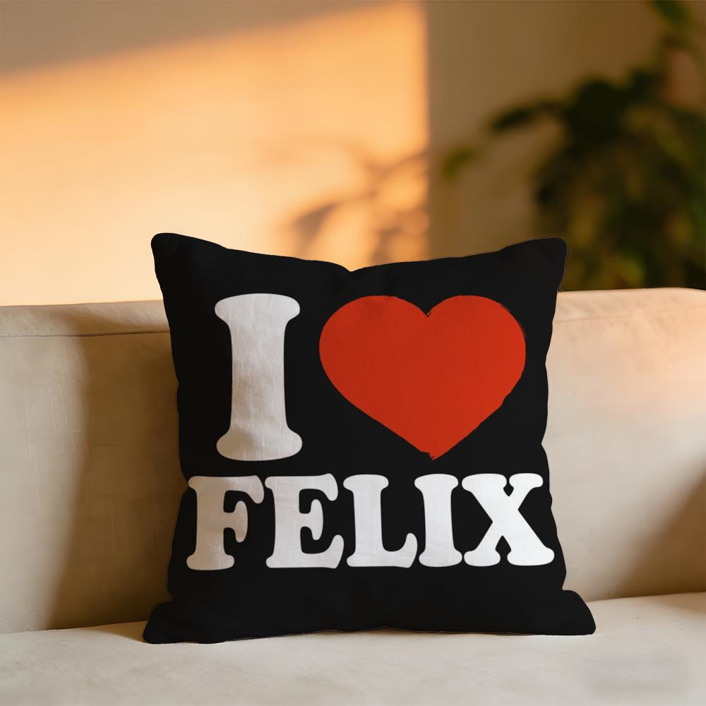 Felix Cushion Cover Cozy Velvet Throw PillowSoft Warm Cushion For Sofa  Bed