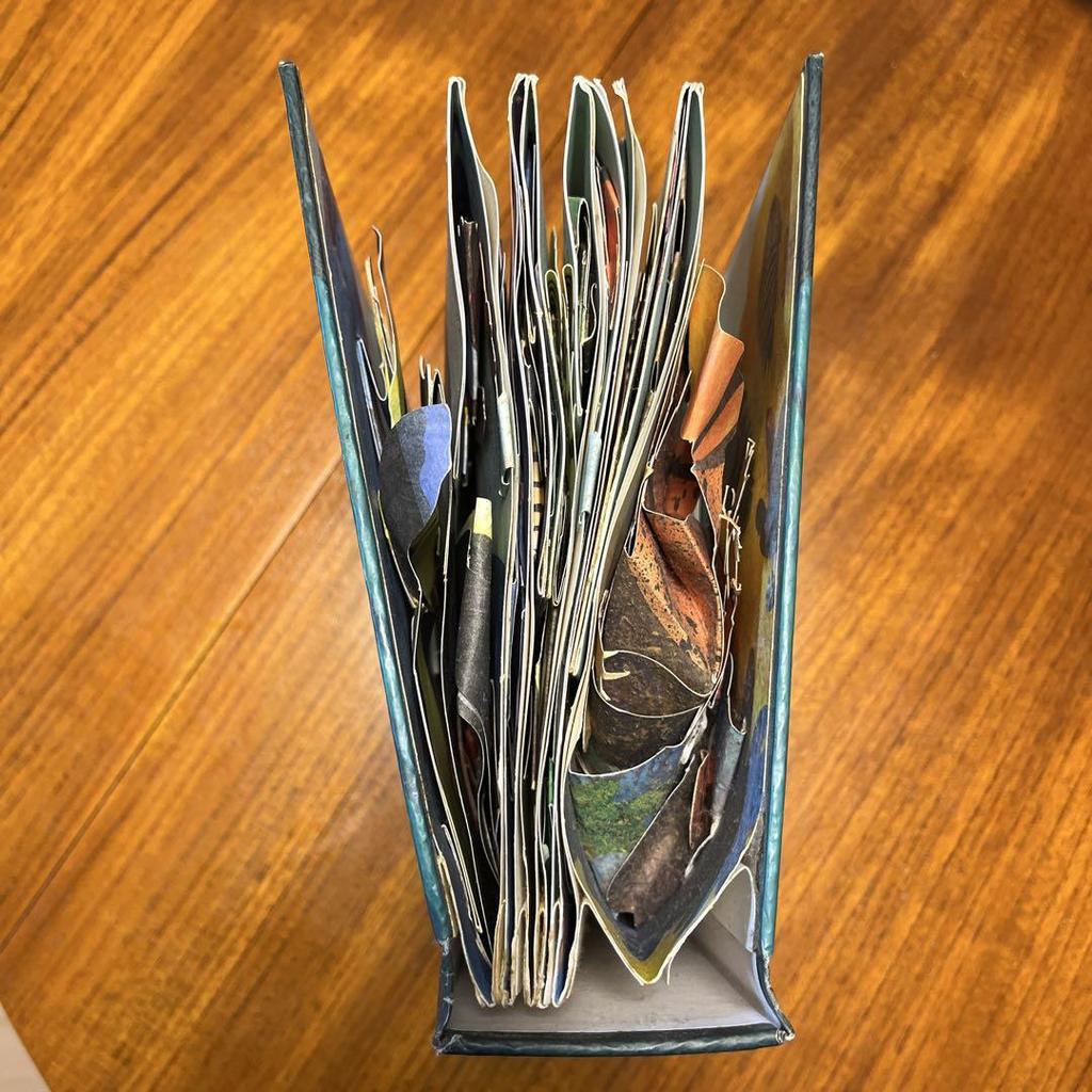 [USED] Encyclopedia Prehistorica Sharks by Robert Sabuda