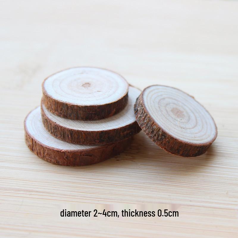 Natural Dried Fruit Wood Slices & Pine Acorn Christmas Decor Materials for Photography Backgrounds