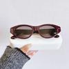 European Retro Cat Eye UV Protection Sunglasses - Trendy 2025 Fashionable Plain Face Design