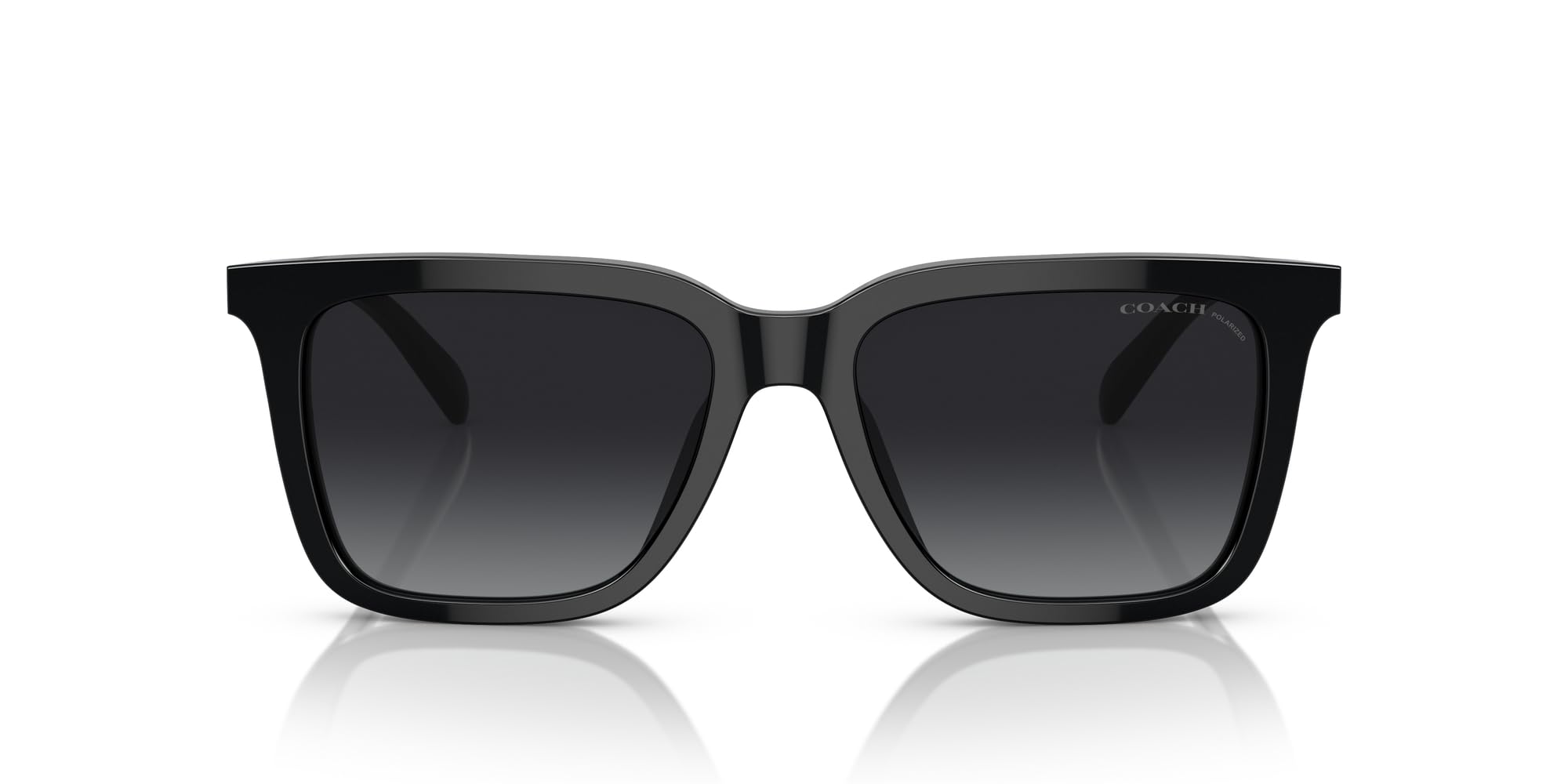 

Sunglasses HC8385U CL910 BLACK 54 [Coach] чорний