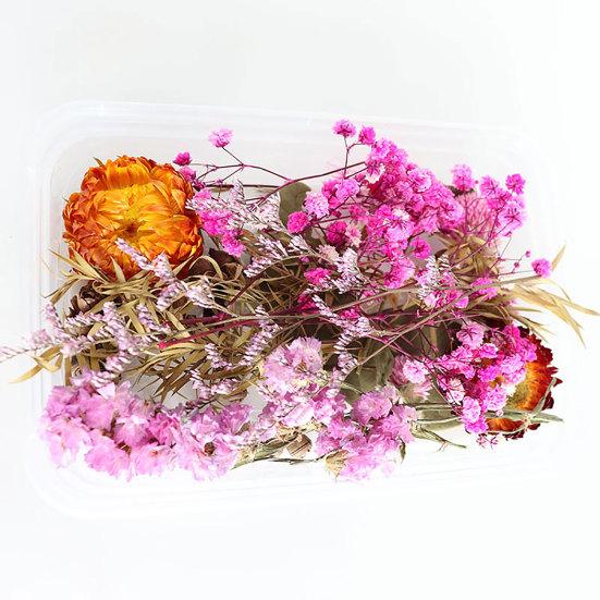 Dried Flowers Home Photography Props DIY Ornament Craft Specimen Accessories