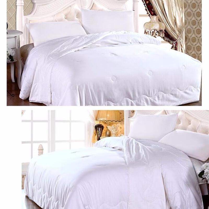 YIYIAI Satin Mulberry Silk Quilt