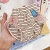 Protecting Female Dogs Physiological Pants for Small Dogs Stripe Pet Underpants with Lace Pomeranian Yorkshire Safety Shorts