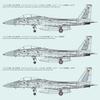Fine Molds 1/72 Scale Jet Aircraft Series Israeli F-15C Buzz Fighter Plastic Model FX01 (Airplane)