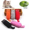 Plush Chew Cat Catnip Toy Interactive Pet Accessories for Cats Sphynx Katten mascotas Products juguete gato zabawki dla kota