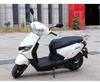 Suzuki Little Dolphin QS110T-3 Rear Luggage Rack Upgrade for Scooter Motorcycle