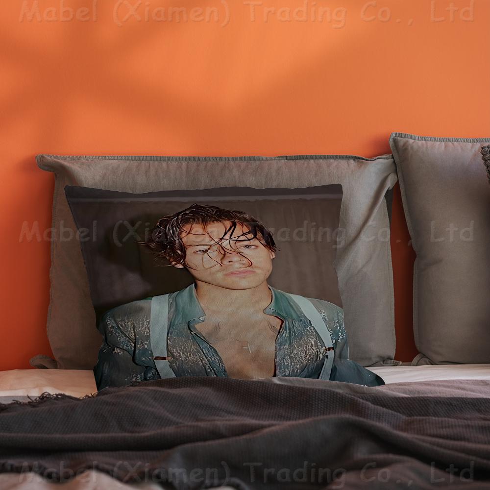 Sänger H-Harrys S-Styles Personalisierte Bildtext Heimdekorationskissen Haushaltsgeschenke 45x45cm