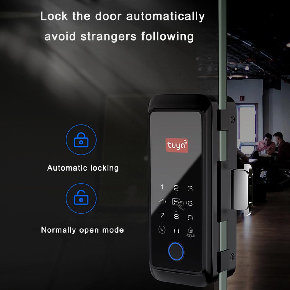 Tuya Smart Lock Fingerprint Lock Door Lock Keypad Door Lock with Handle Fingerprint Electronic
