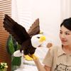 Simulation Bald Eagle Doll Plush Doll American Eagle Ornament Zoo Bald Eagle