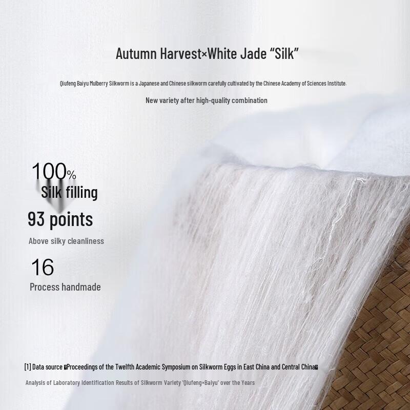 Mercury Home Textiles 100% Mulberry Silk All-Season Quilt