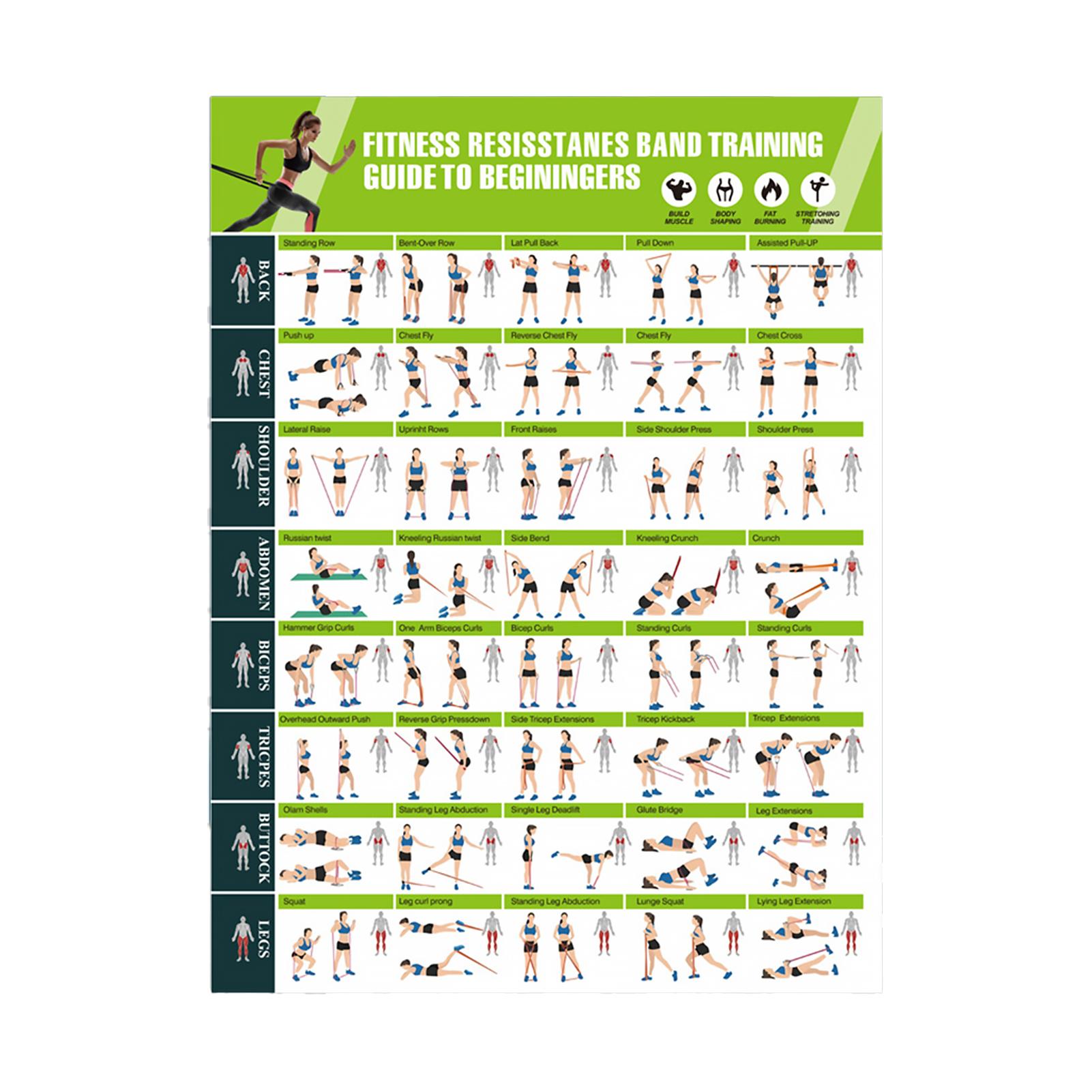 

Muscle Building Fat Burning Stretching Guide Learning Workout Exercise Poster For Beginners