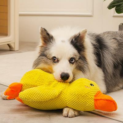 Hunde – Hundespielzeug