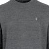 Polo Ralph Lauren FW23 Pony Logo Embroidered Crew Neck Long Sleeve Knit Sweater Men Sweater Gray MNPOSWE16820518-020