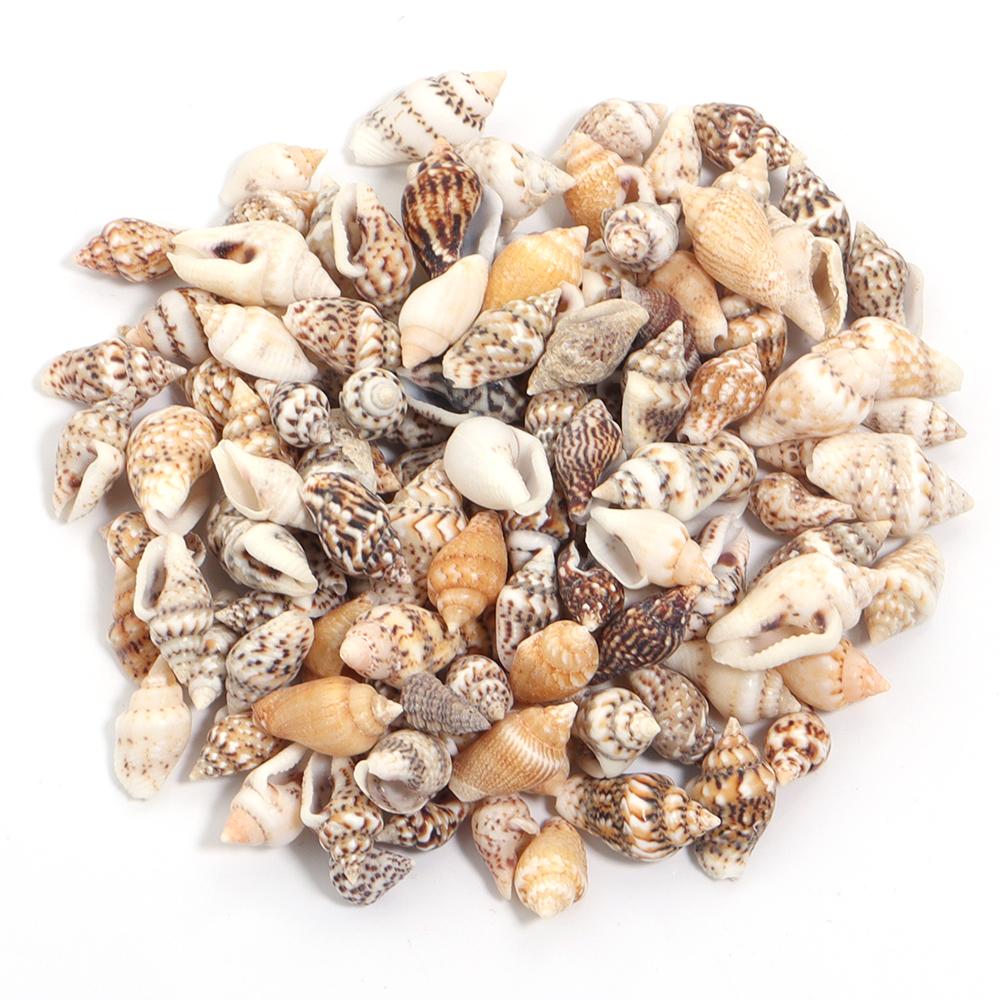 

30g/lot 7-12mm Flower Snail Shell Shape Beads For Jewelry Making Loose Conch Pendant Beads DIY Necklace Phone Chains Accessories