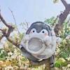 Transparent Cartoon Doll Bag Large Capacity Children Schoolbag Sweet Plush Penguin Backpack  Gift