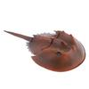 Simulation Animal Model Action Figures Toys Kid Educational Nature Toy Collectibles Decoration