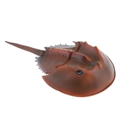 Simulation Animal Model Action Figures Toys Kid Educational Nature Toy Collectibles Decoration