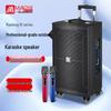 MALONE M-9115 Portable Outdoor Trolley Bluetooth Speaker CN plug (adapter included)