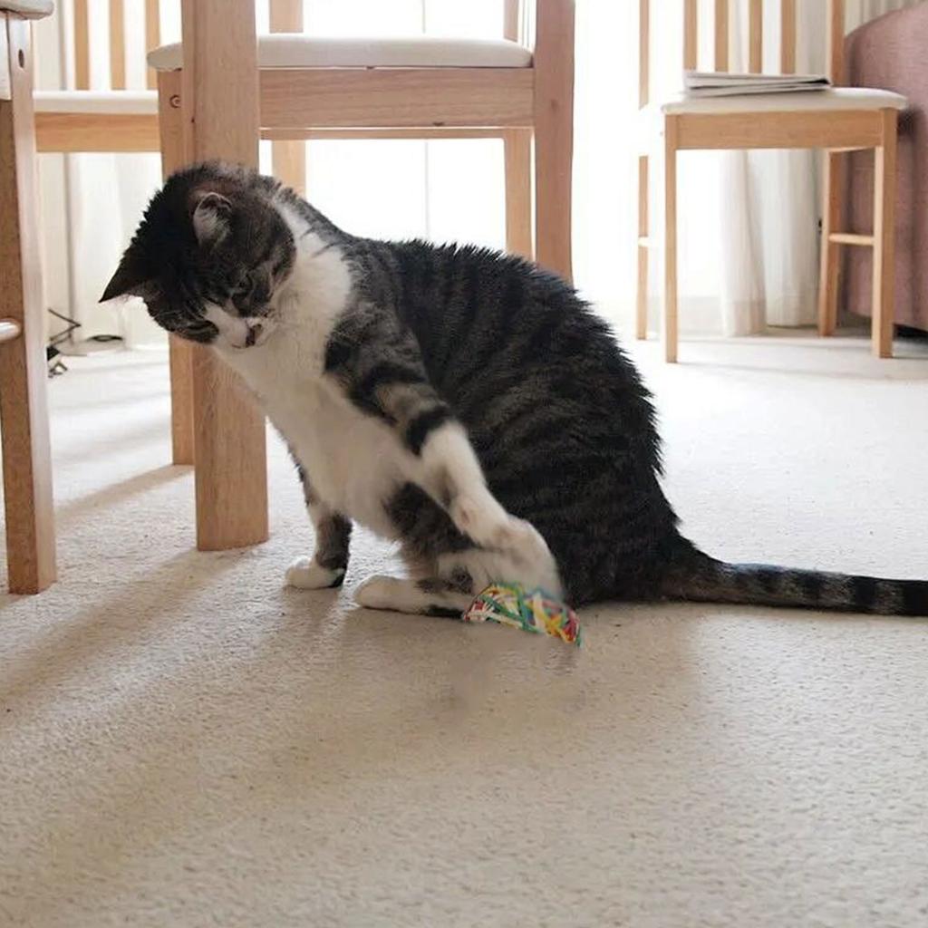 Cats Automatic Toy Cats Interactive Toy Teasing Mouse Fun Exercise Toy for Indoor Felines Play Exercise Toy
