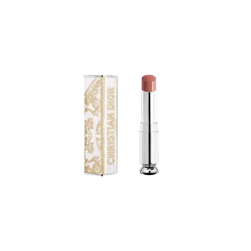 DIOR Lipstick Charm Lipstick Fashion Case + Lipstick Refill 527