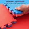 Pucheng Interlocking Gym & Martial Arts Shock-Absorbing Mat
