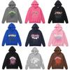 Sweat à capuche de haute qualité 450g pour homme avec impression toile d'araignée en mousse - Style Young Thug