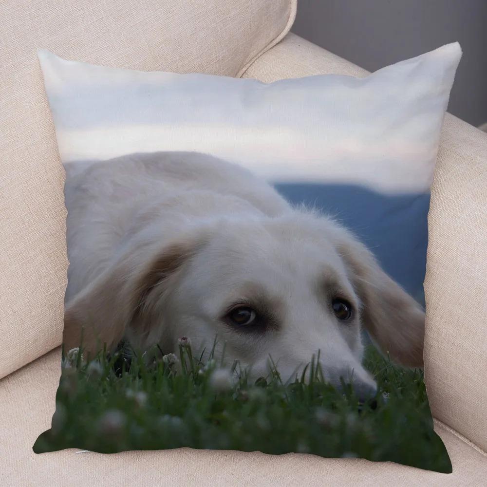 Офис Гостиная Дом Наволочка Питомец Лабрадор Узор Наволочка Автомобиль Украшения 16x16Inch
