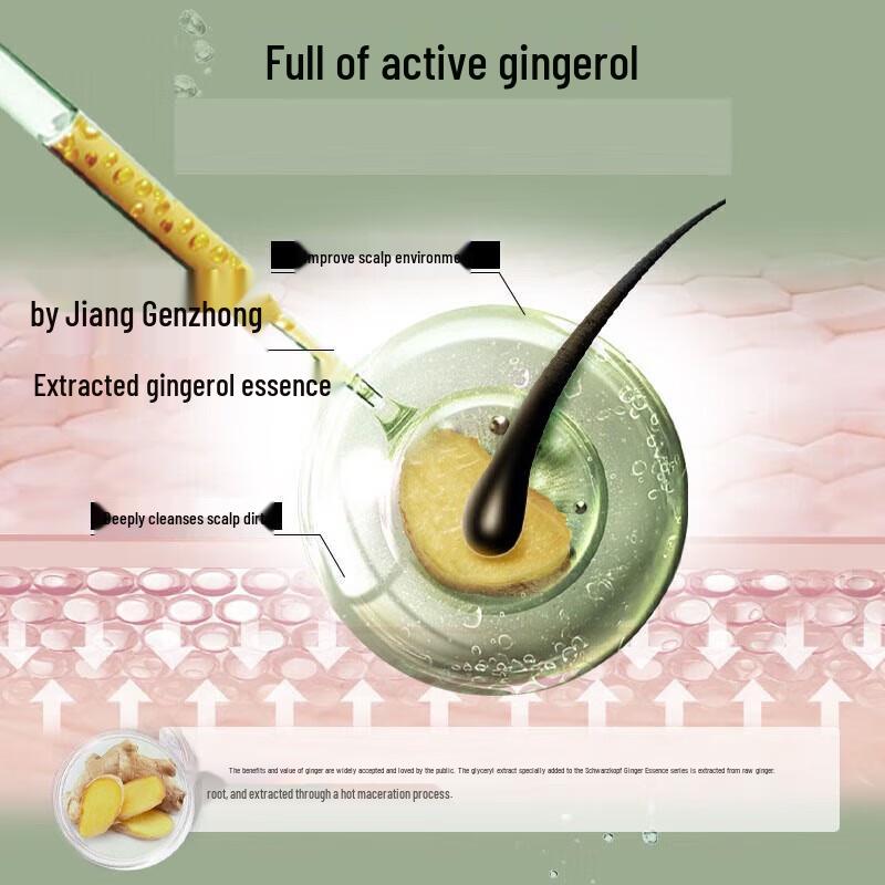 Schwarzkopf Ginger Essence Oil Control Conditioner