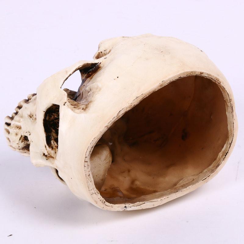 Premium Resin Human Skull Head Design Flower Pot Planter For Unique Home Decor