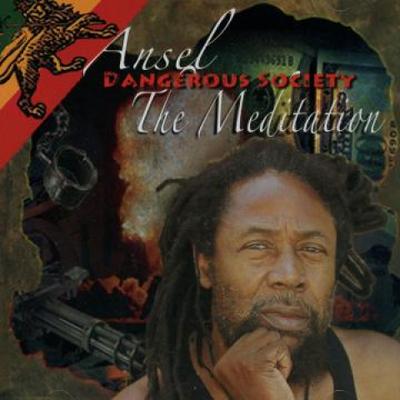 CD ANSEL MÉDITATION - Société Dangereuse aucun Méditations Mus 2011 US Reggae, Ska & Dub