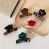 Korean New Style Acetate Flower Hairpin Female Back of The Head High-end Light Luxury Style Hairpin Hair Clip Headdress