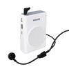 Philips Portable Amplifiers & Outdoor KTV Speakers (CN Version)