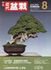 KINDAI BONSAI Aug 2026 Japanese Culture Magazine KINBON from Japan