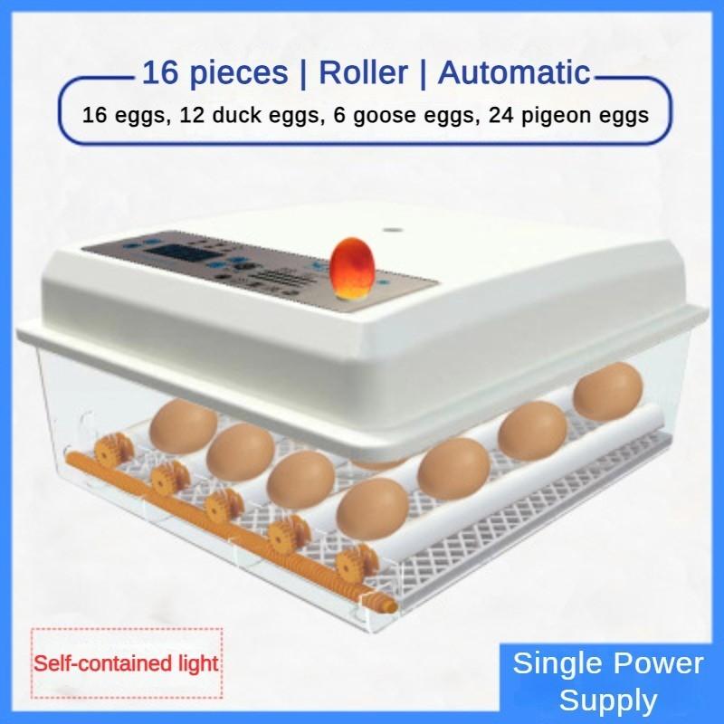 50W Fully Automatic One Click Mini Incubator Small Household Egg Hatcher Multifunctional Intelligent Incubator 53 * 24 * 48cm
