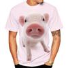 Popular 3D Art Design of Cute Pigs In Summer, Youthful Fashion Personality, Cute Popular T-shirt