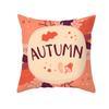 New Pumpkin Thanksgiving Pillow Cover Ins Nordic Peach Skin Printed Cushion Cushion Cover Home Products