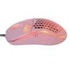 Wired Mouse 4‑Speed DPI Adjustable Hollow RGB Lighting Effect Gaming Laptop Accessories