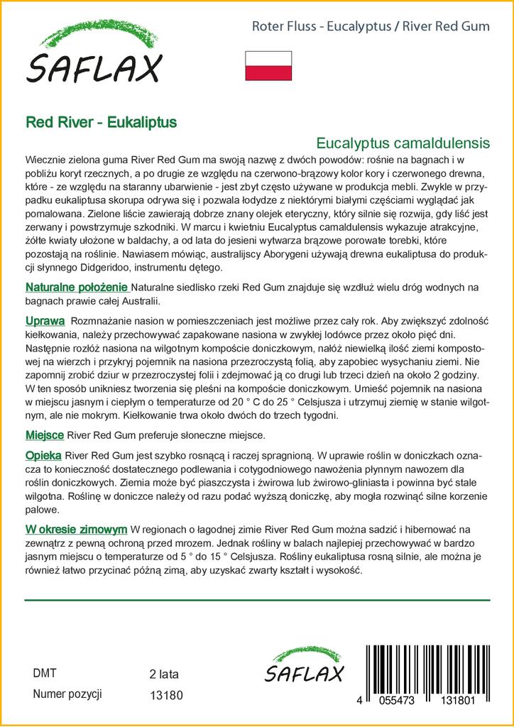 SAFLAX River Red Gum - 200 Seeds - Eucalyptus Camaldulensis