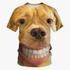 T-shirt estiva da uomo nuova con motivo carpa koi, stampa digitale 3D, girocollo, manica corta, top street