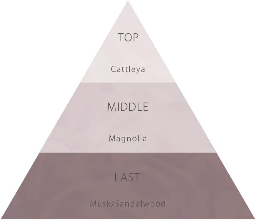 Lawrence Le Cirque Refill Shining Through Shampoo 350ml Shining Through Treatment 350ml Refill (Moist Type) Set &