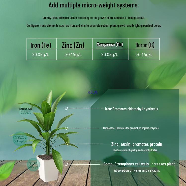 Stanley Dragon Tree Care: Nutrient Solution & General-Purpose Fertilizer for Healthy Green Plants